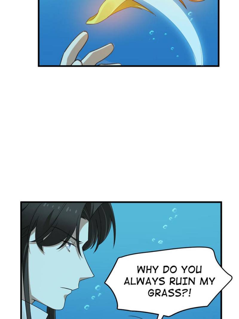 Page 14 of Chapter 398