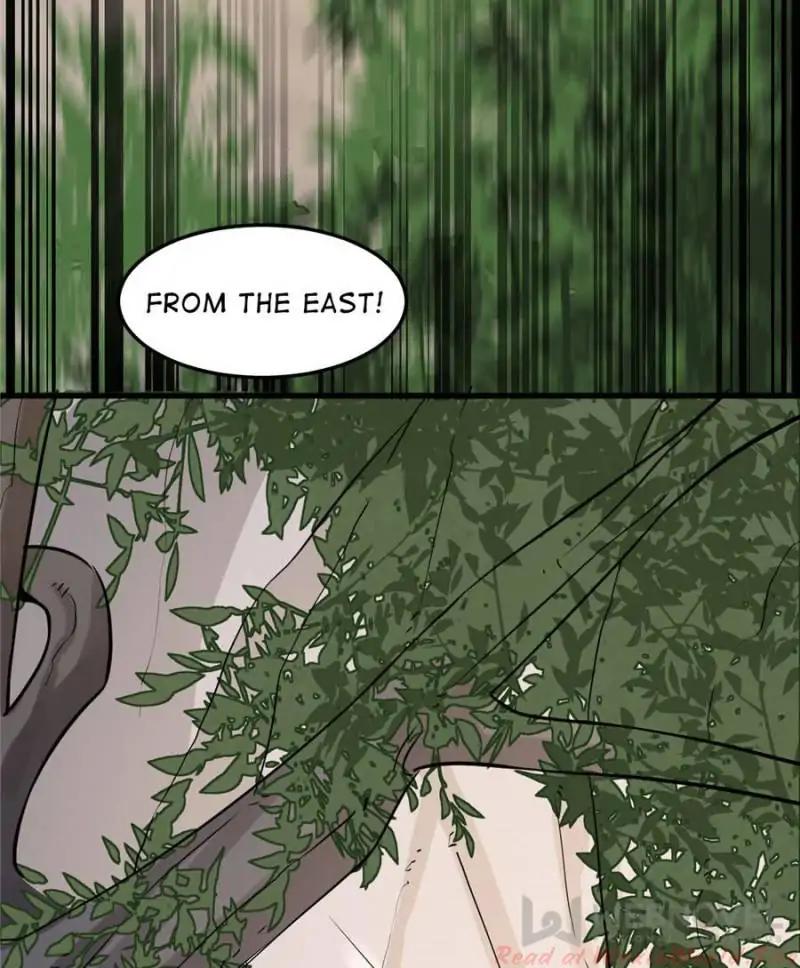Page 5 of Chapter 43