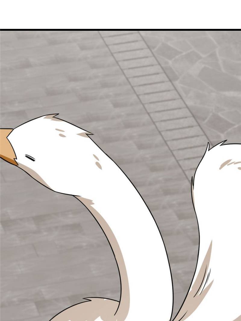 Page 57 of Chapter 91