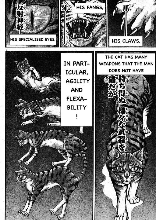Page 10 of Chapter 146