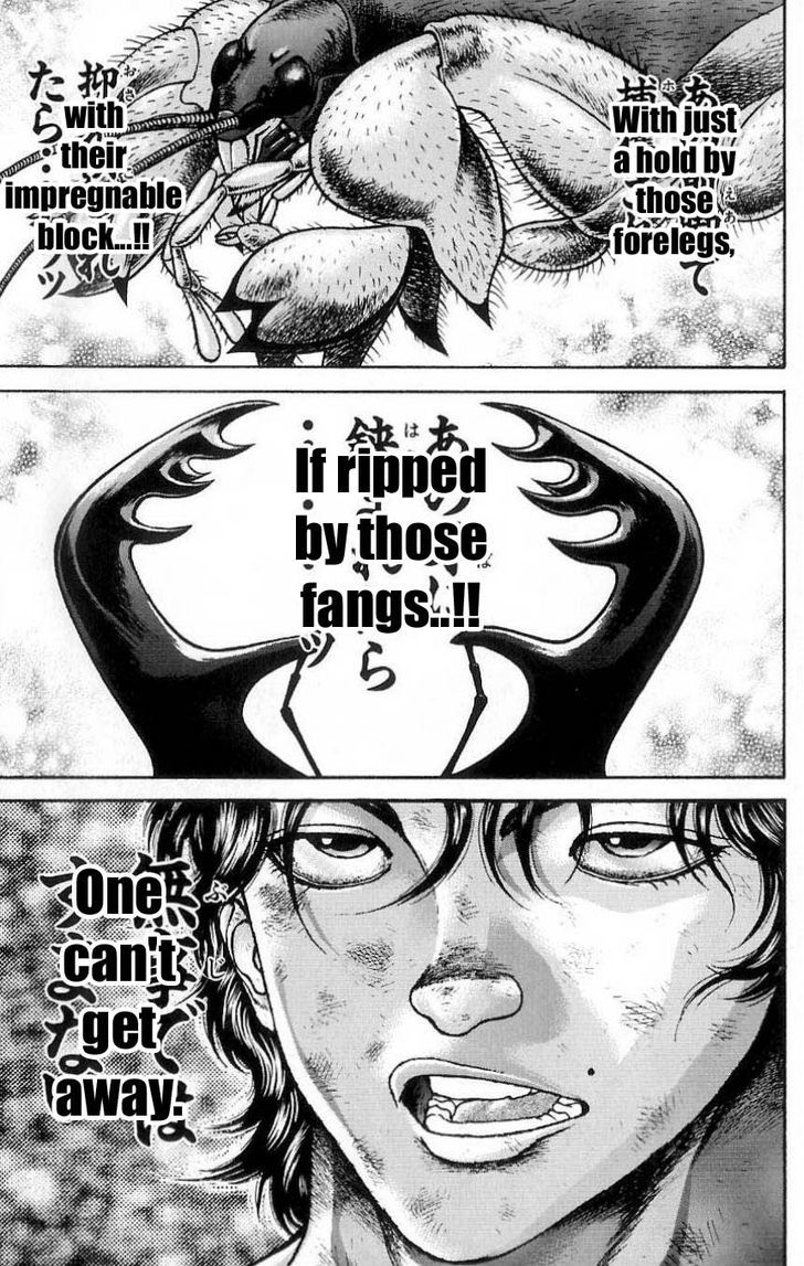 Page 17 of Chapter 8