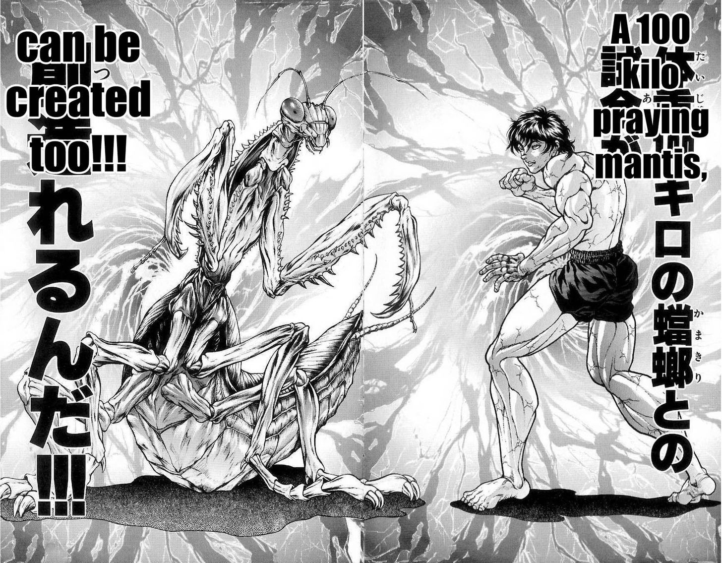 Page 24 of Chapter 8