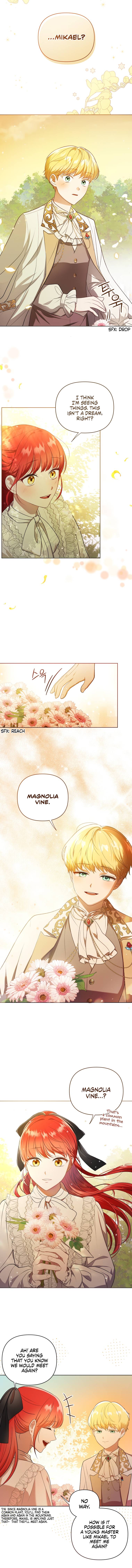 Page 46 of Chapter 11