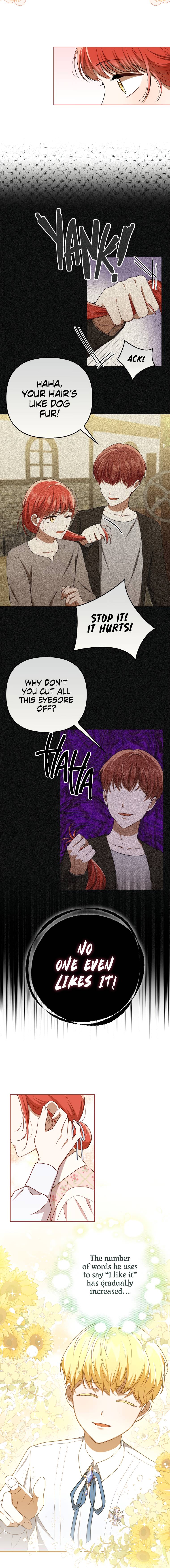 Page 21 of Chapter 29