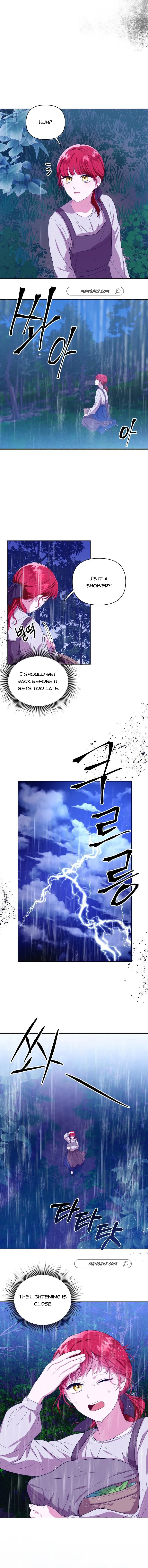 Page 3 of Chapter 5