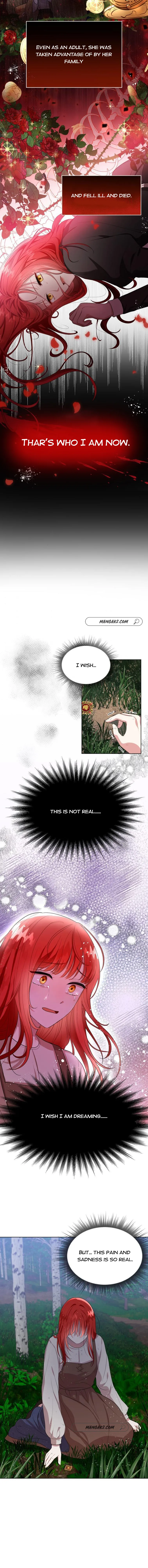 Page 8 of Chapter 5