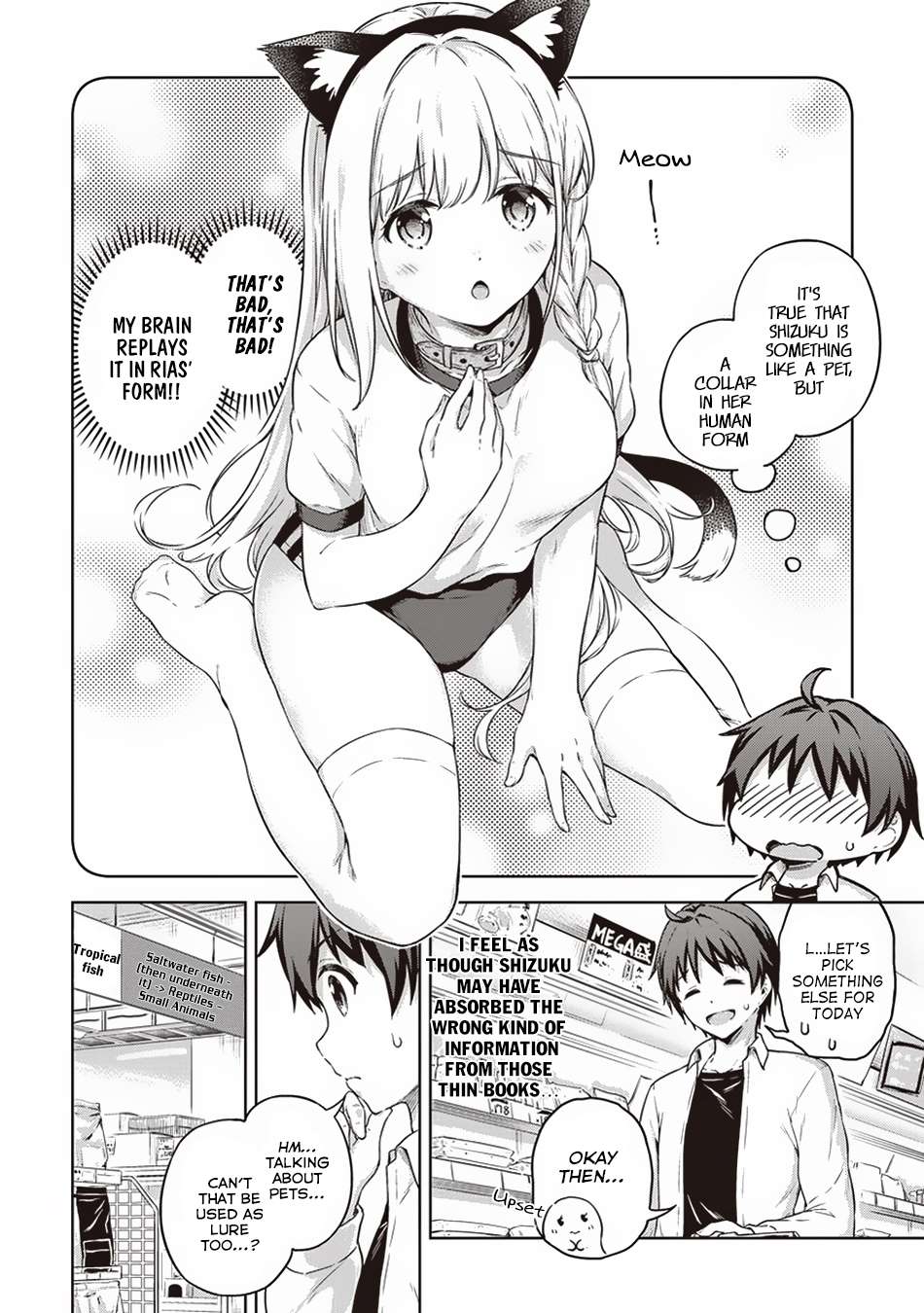 Page 11 of Chapter 14