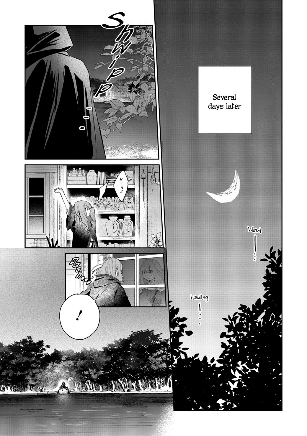 Page 17 of Chapter 3
