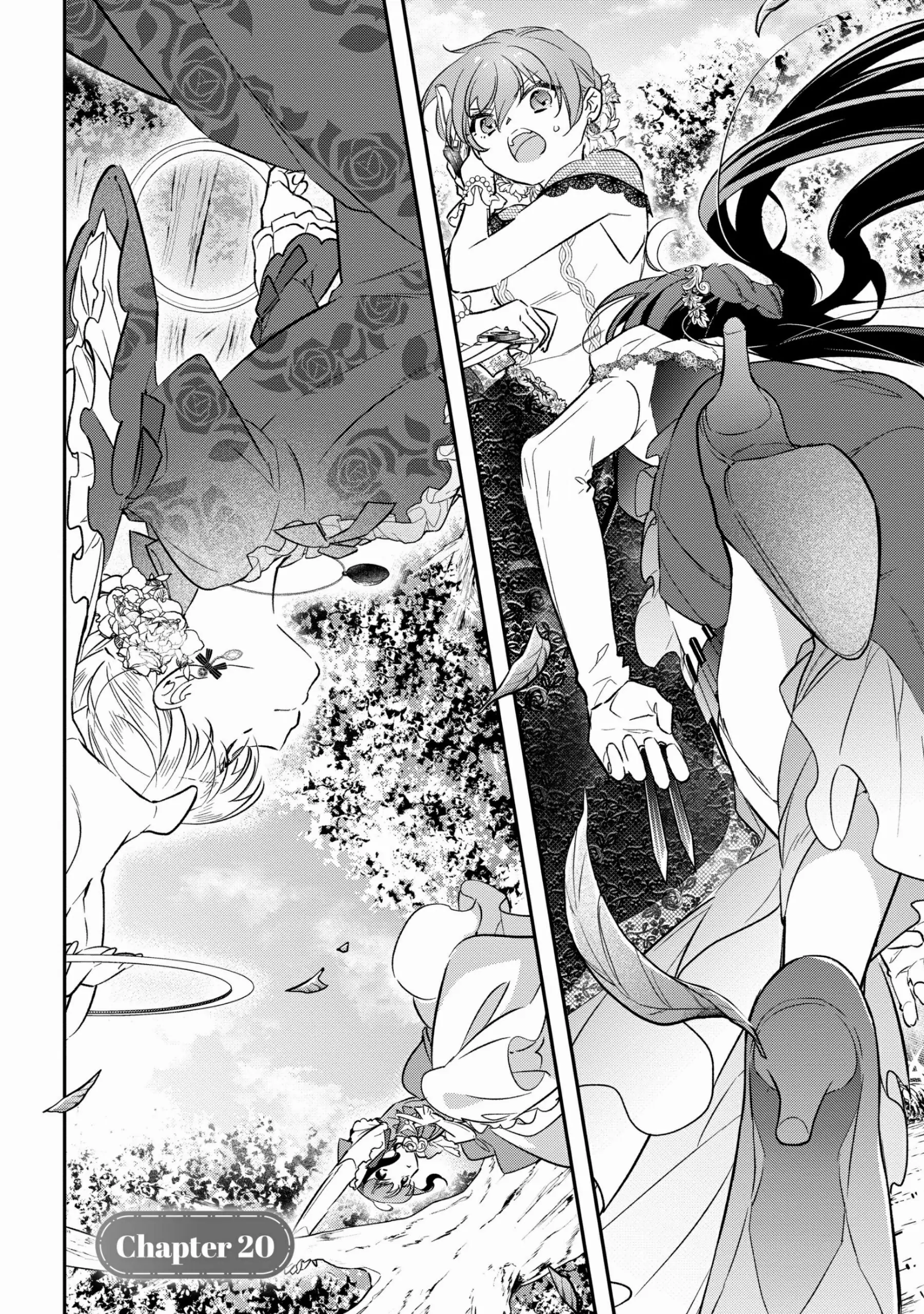 Page 2 of Chapter 20