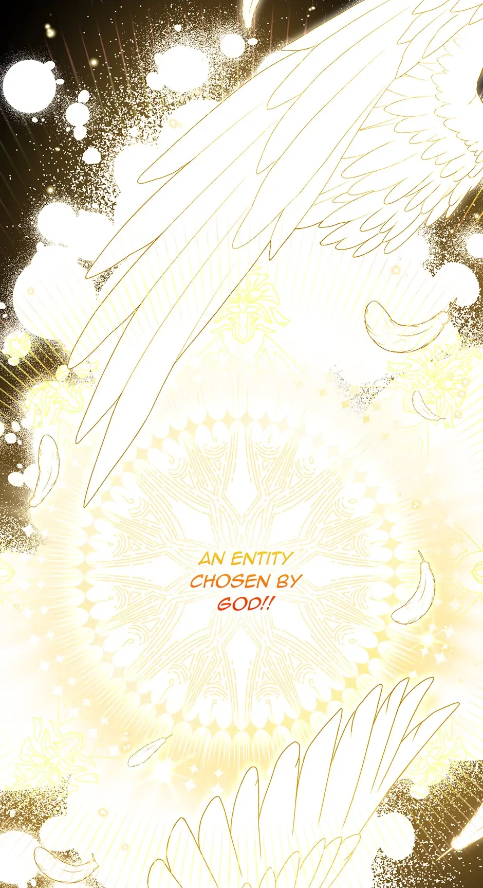 Page 43 of Chapter 114