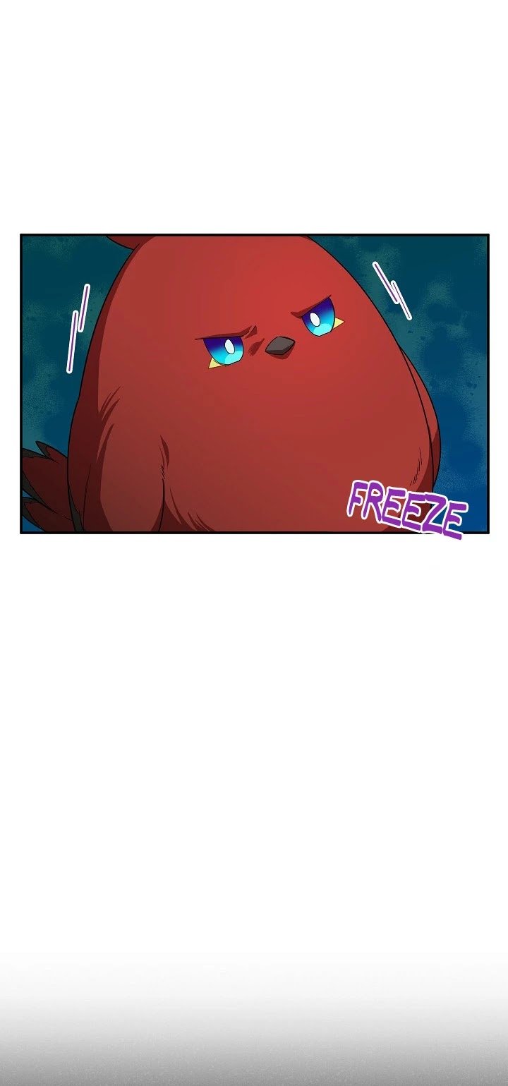 Page 13 of Chapter 47