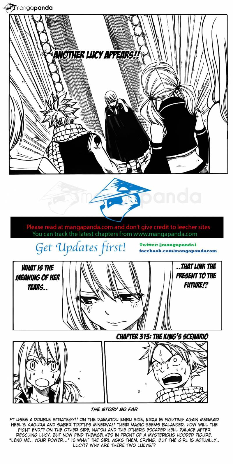 Page 4 of Chapter 313