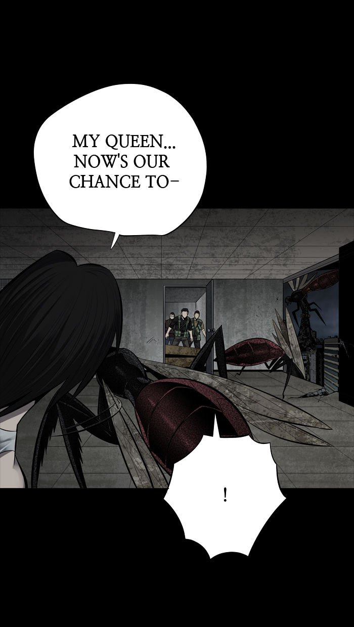 Page 27 of Chapter 115