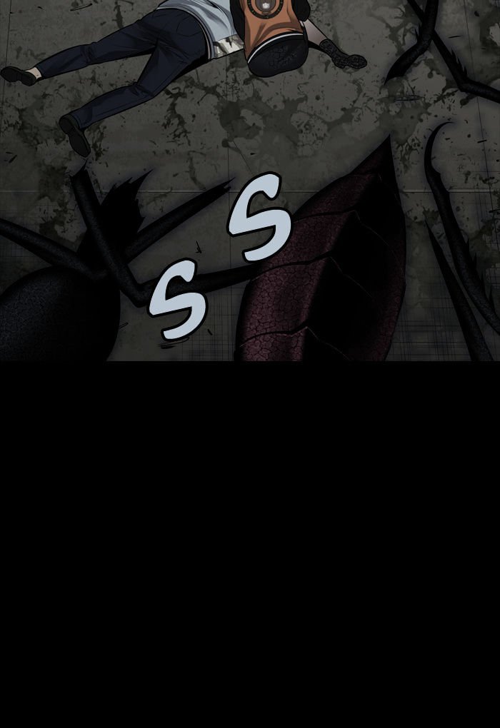 Page 43 of Chapter 115