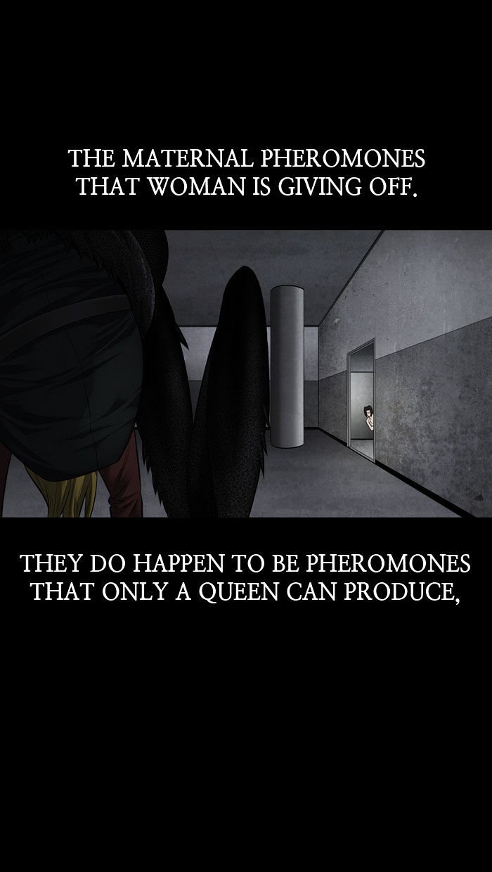 Page 43 of Chapter 123