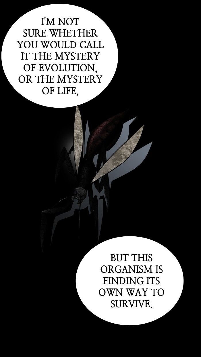 Page 41 of Chapter 135