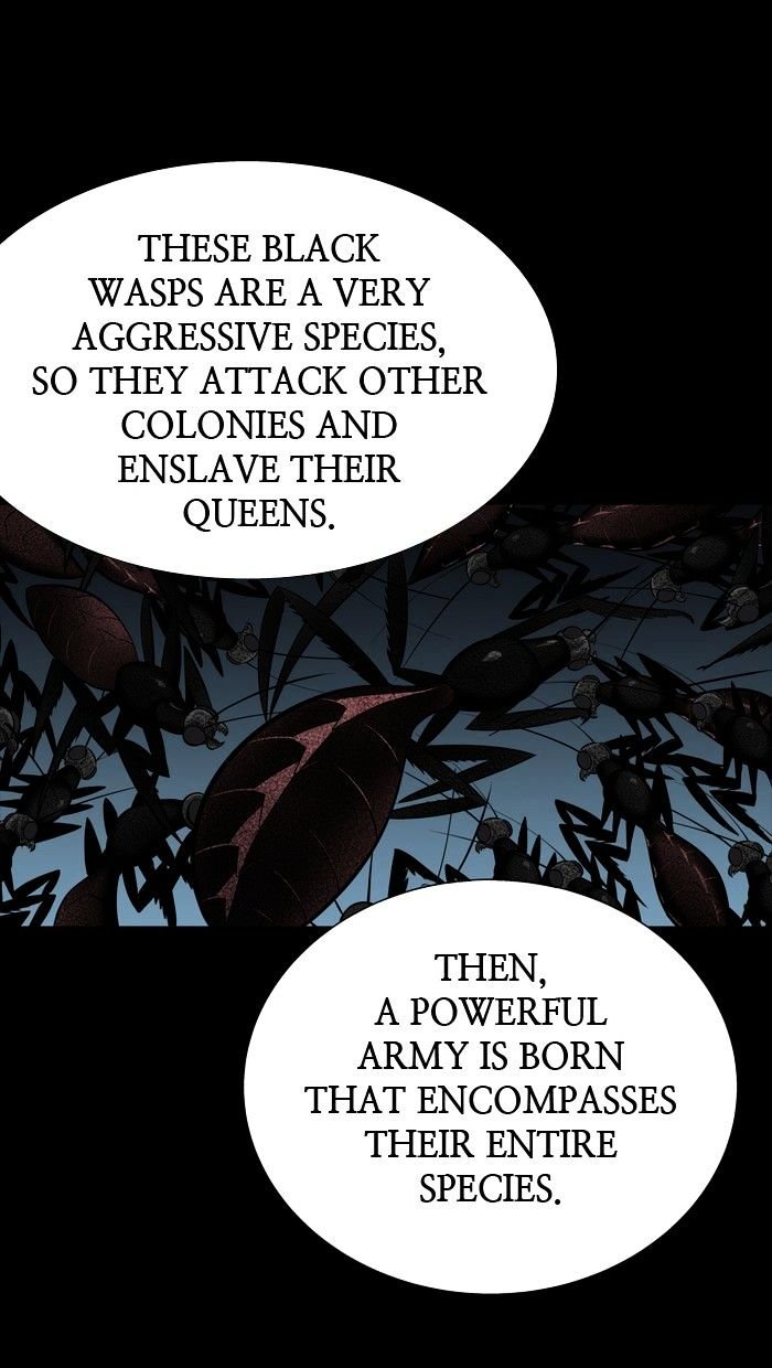 Page 43 of Chapter 135