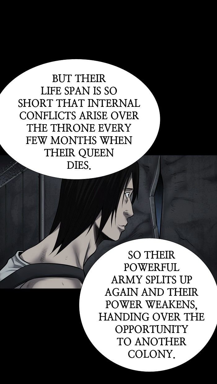 Page 44 of Chapter 135