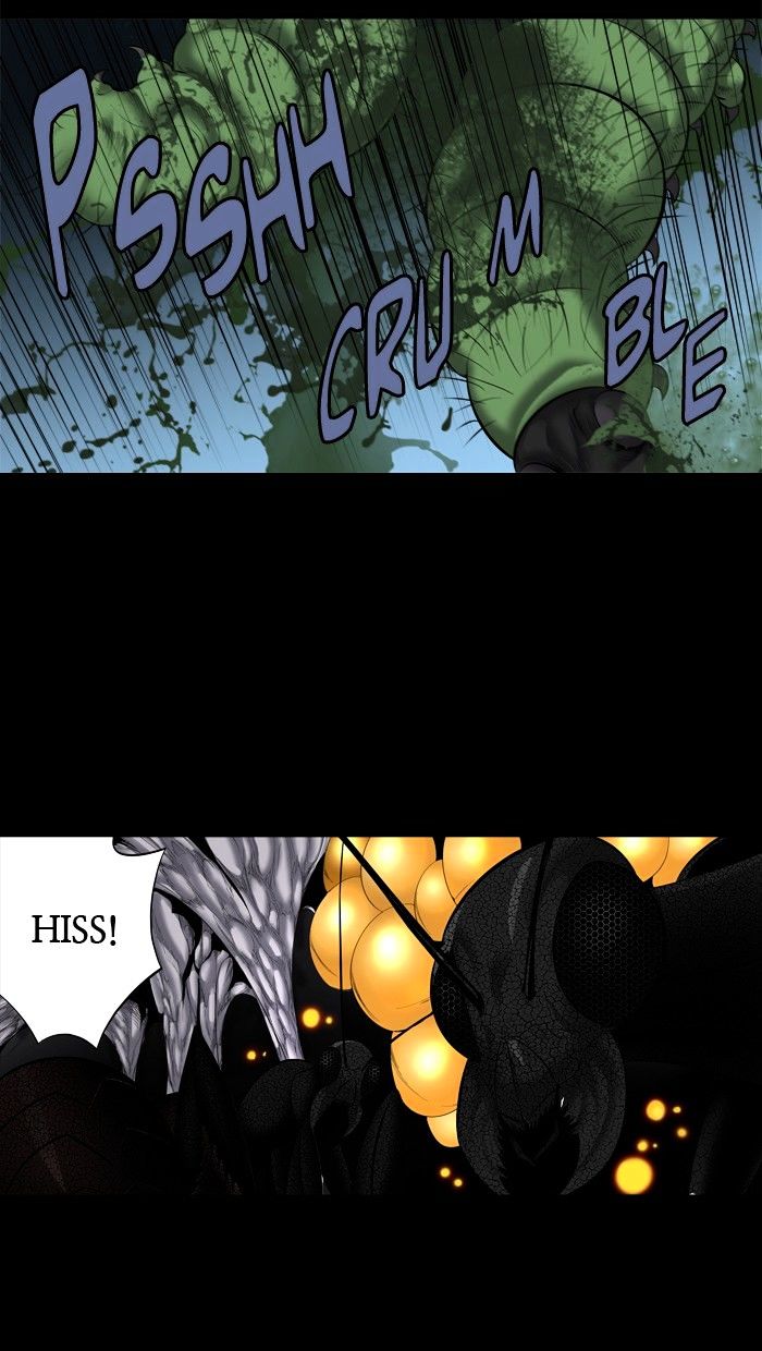Page 31 of Chapter 146