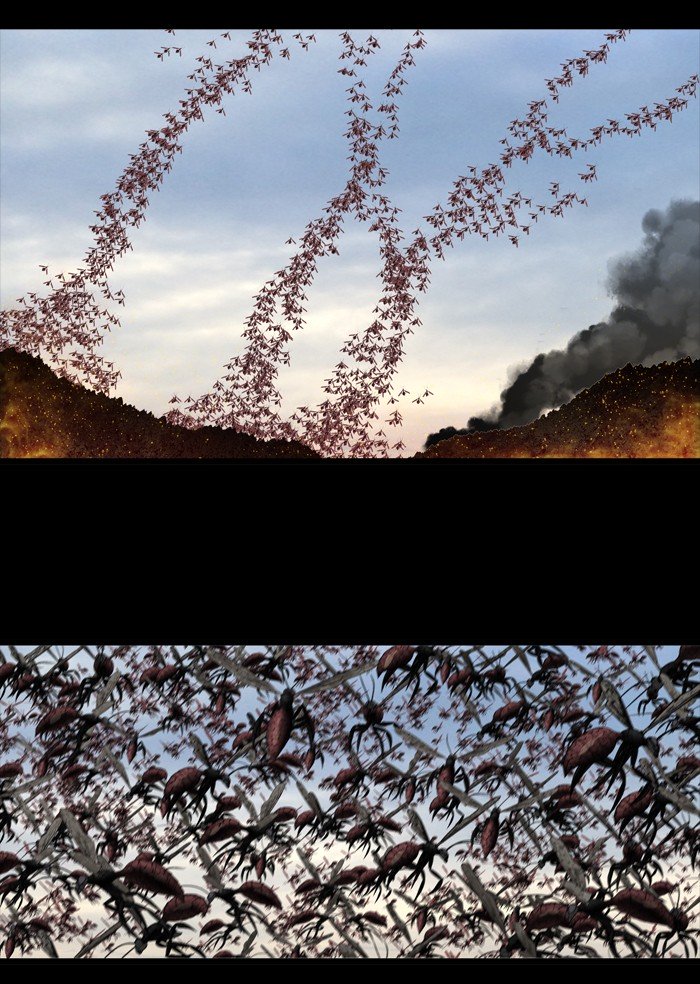 Page 43 of Chapter 206