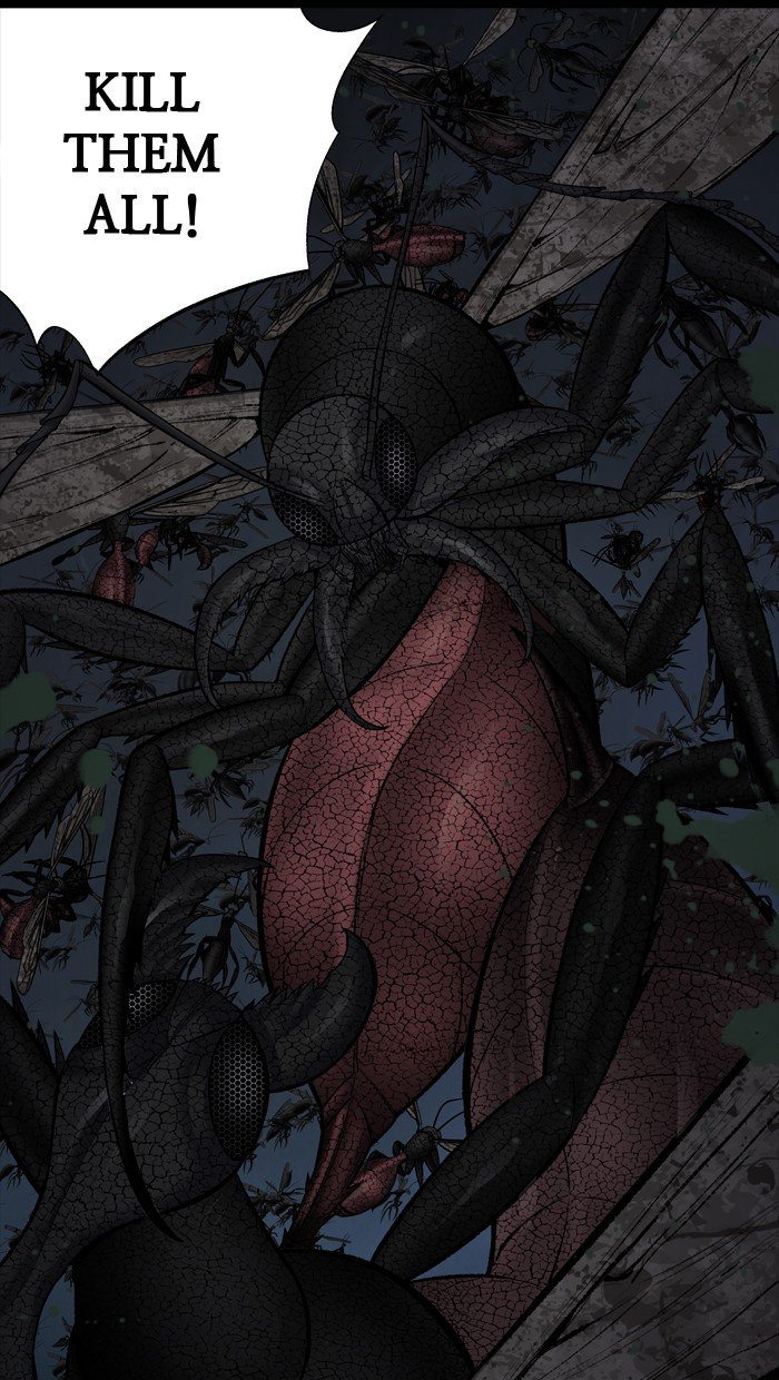 Page 47 of Chapter 212