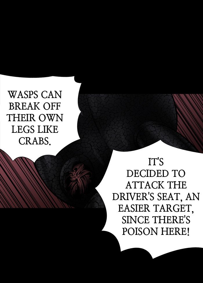 Page 13 of Chapter 217