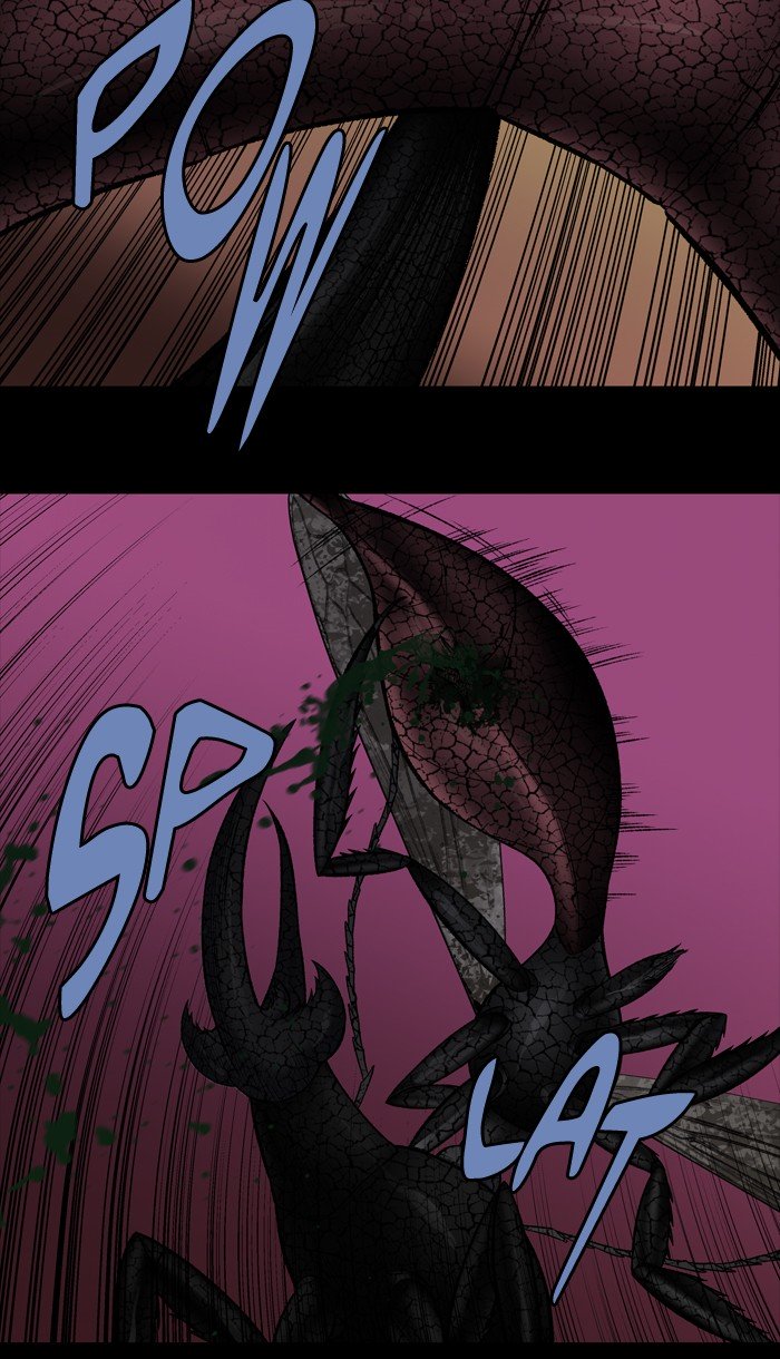 Page 13 of Chapter 219