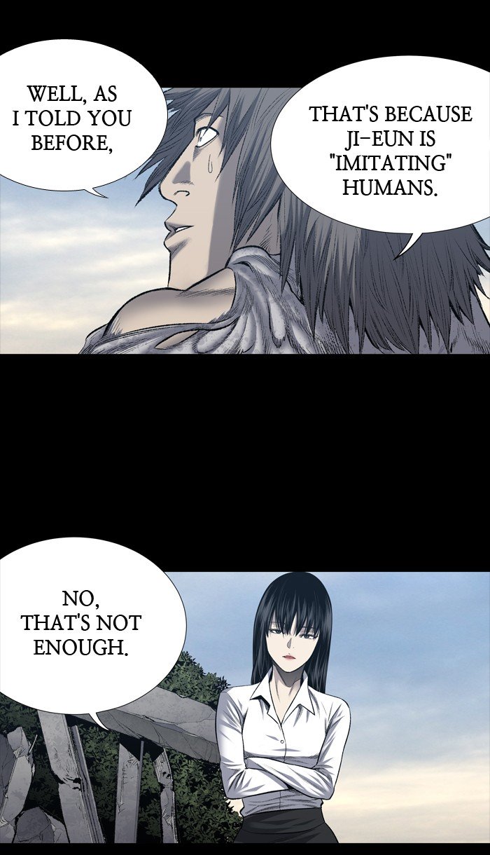 Page 13 of Chapter 223