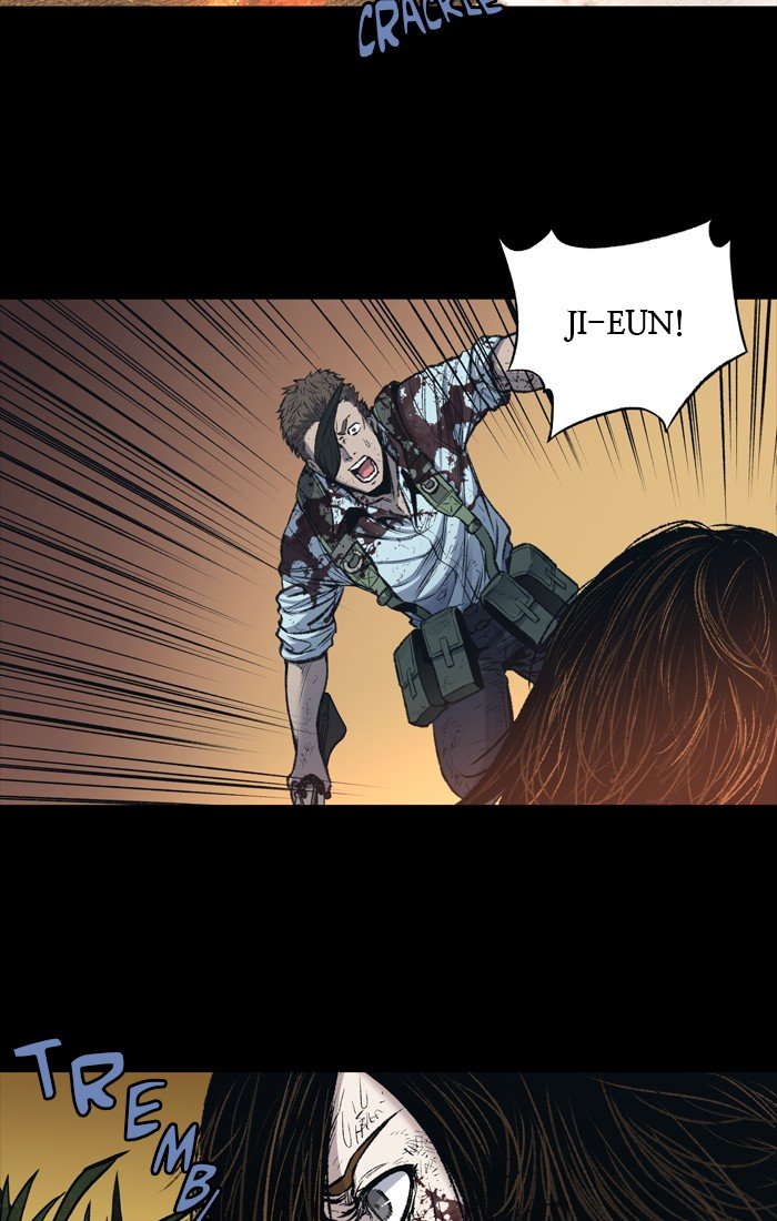 Page 13 of Chapter 242