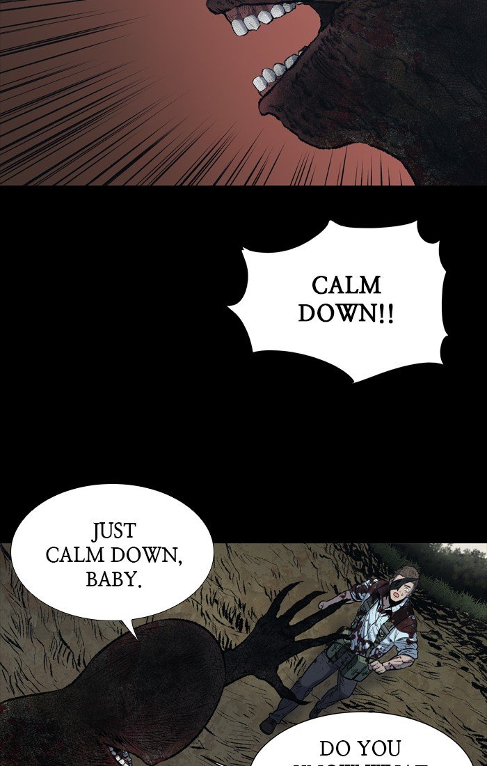 Page 41 of Chapter 242