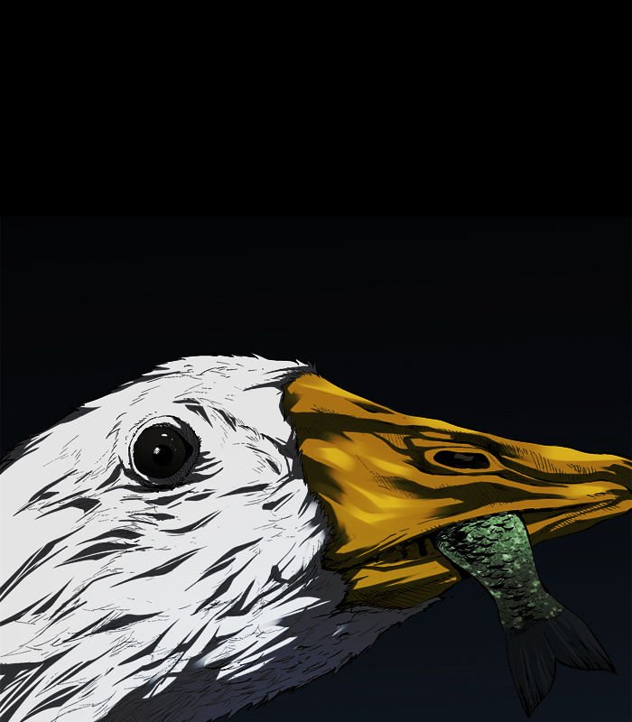 Page 52 of Chapter 33
