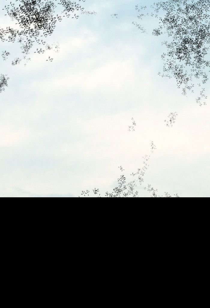 Page 74 of Chapter 71