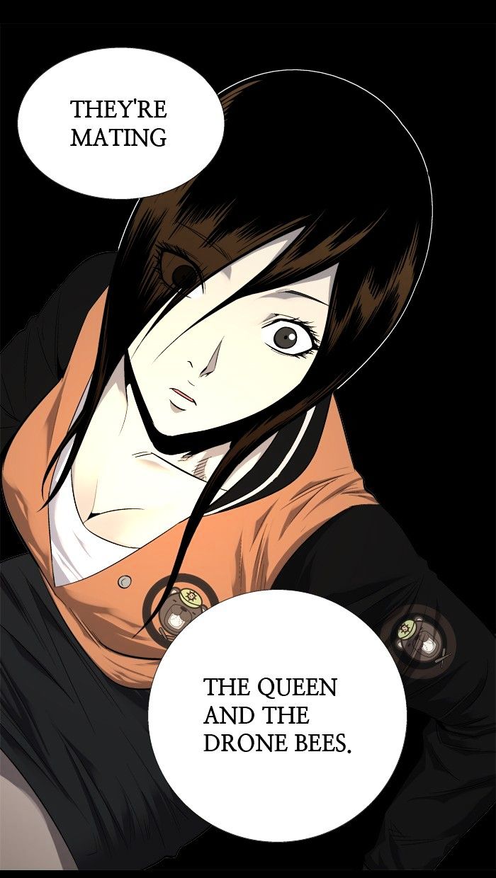Page 81 of Chapter 71