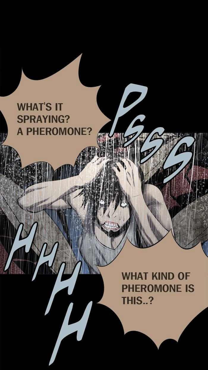 Page 17 of Chapter 84