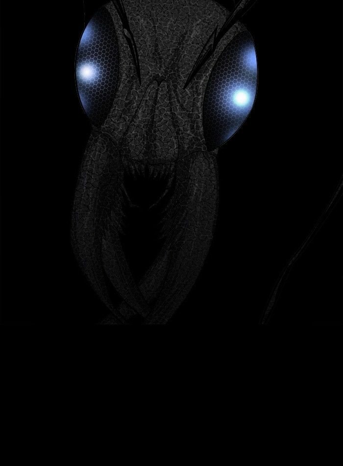 Page 40 of Chapter 85