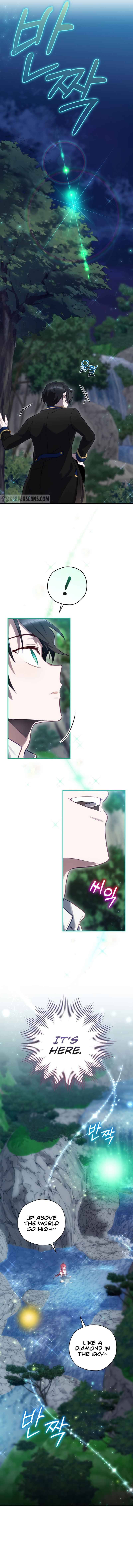 Page 13 of Chapter 17
