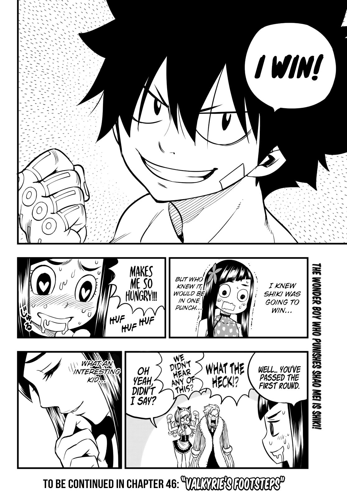 Page 20 of Chapter 45