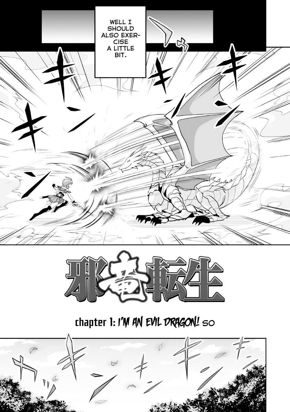 Page 4 of Chapter 1