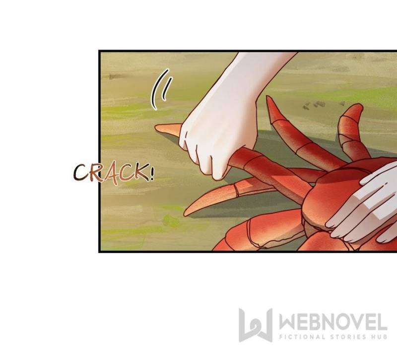 Page 41 of Chapter 260