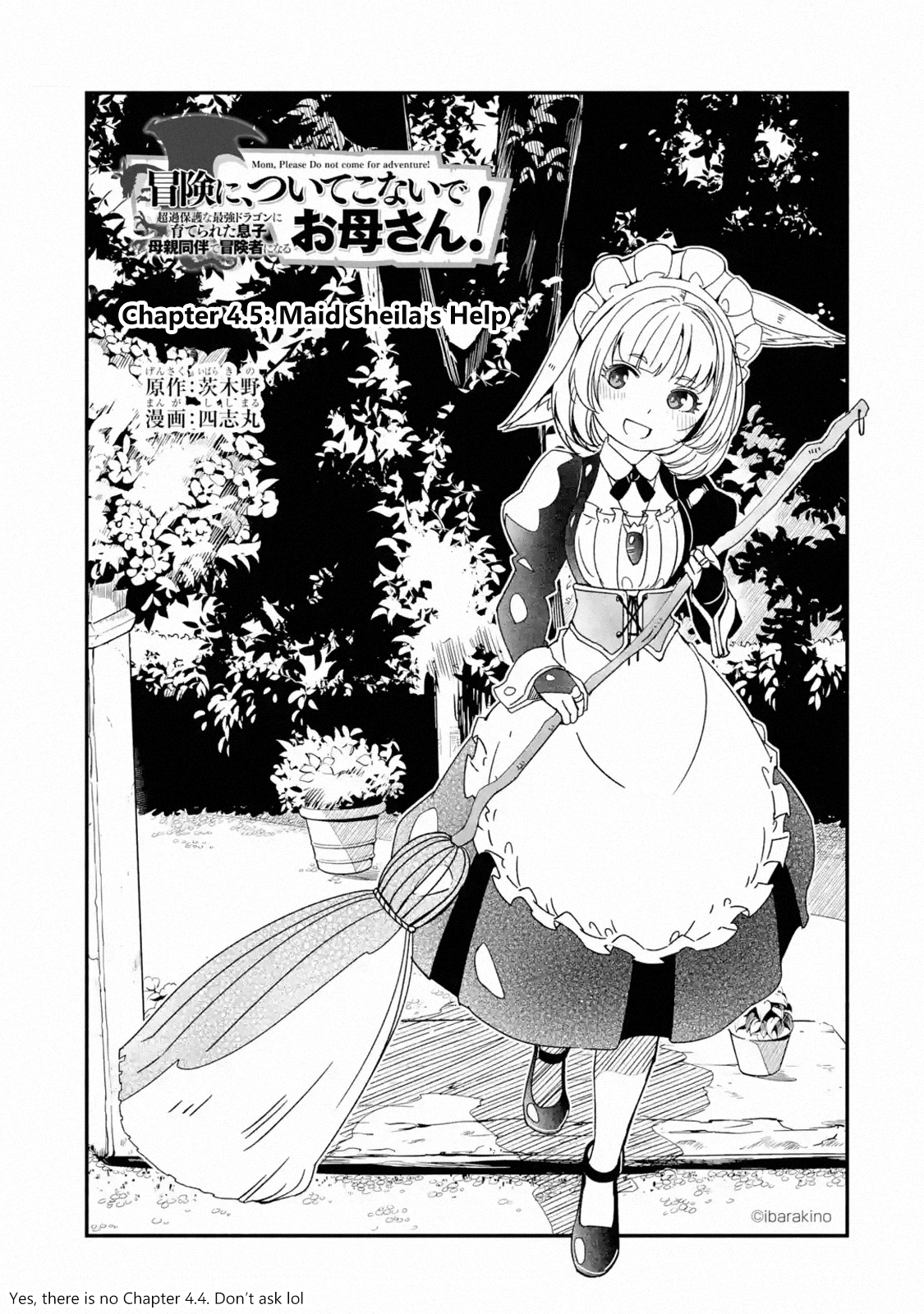 Page 1 of Chapter 4.5