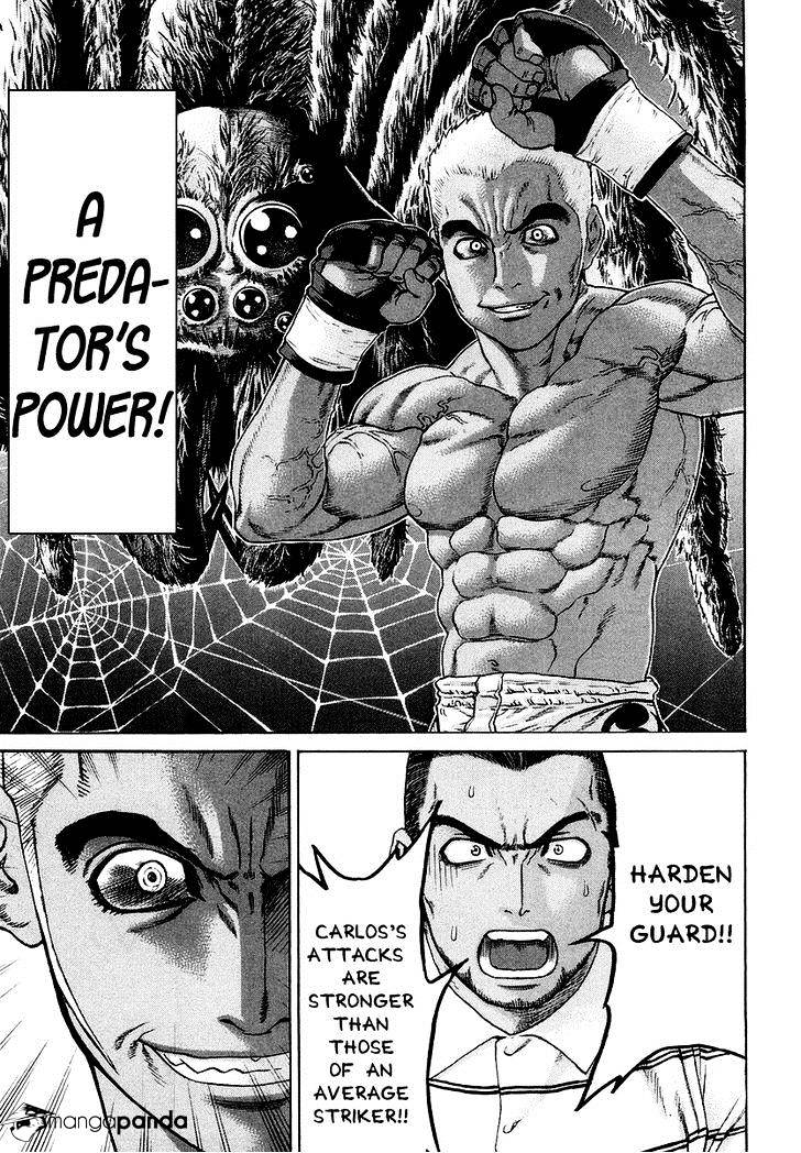Page 16 of Chapter 205
