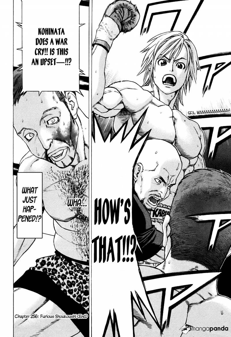 Page 17 of Chapter 256