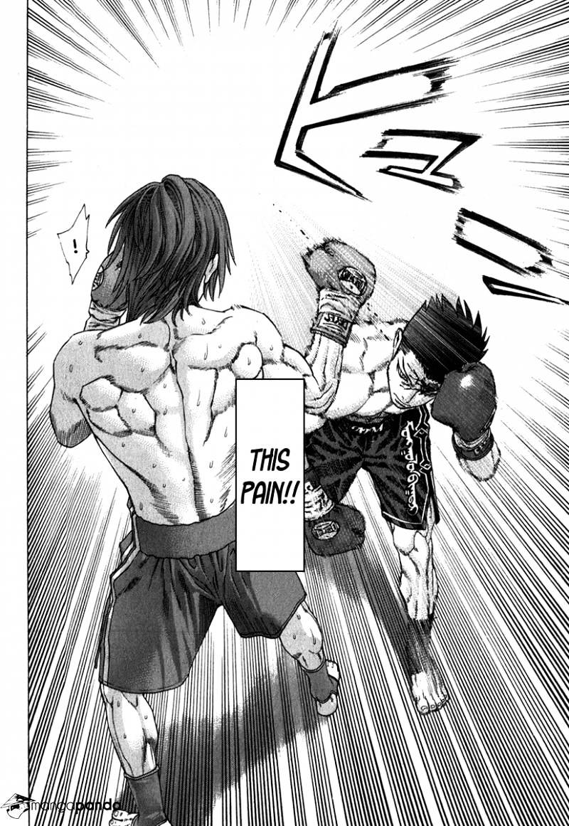 Page 17 of Chapter 331
