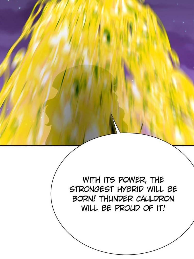 Page 33 of Chapter 245