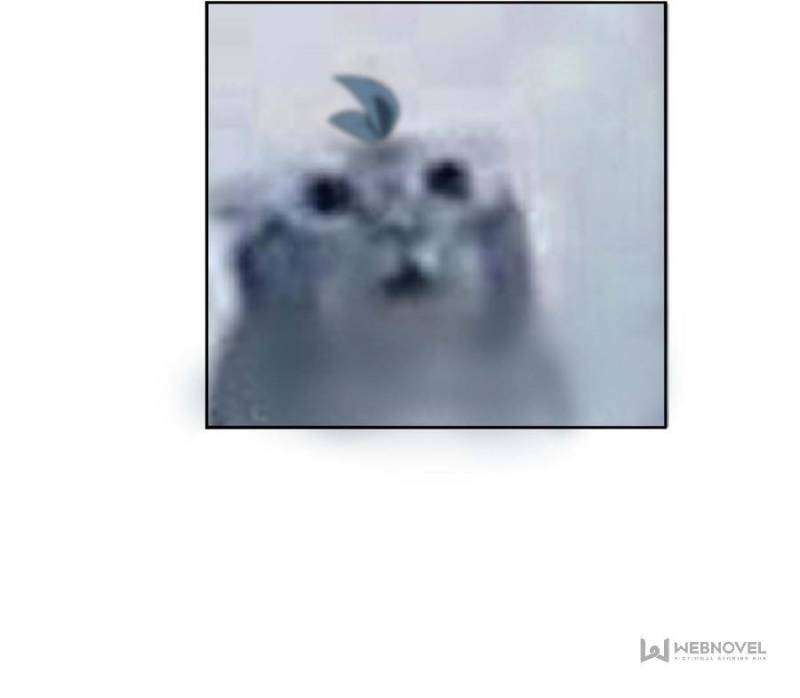 Page 42 of Chapter 322