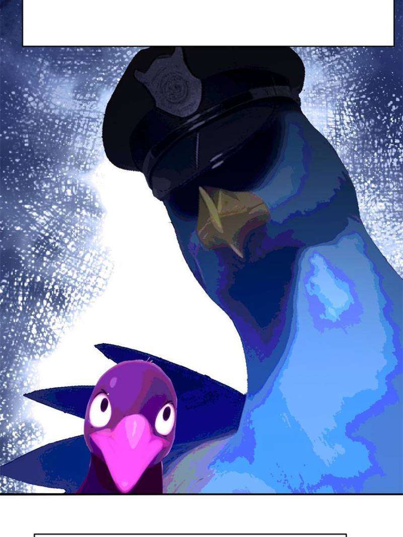 Page 66 of Chapter 325