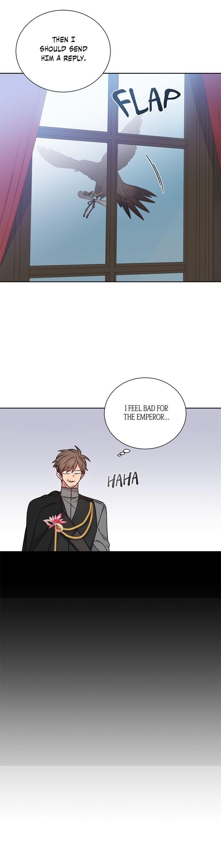 Page 19 of Chapter 43