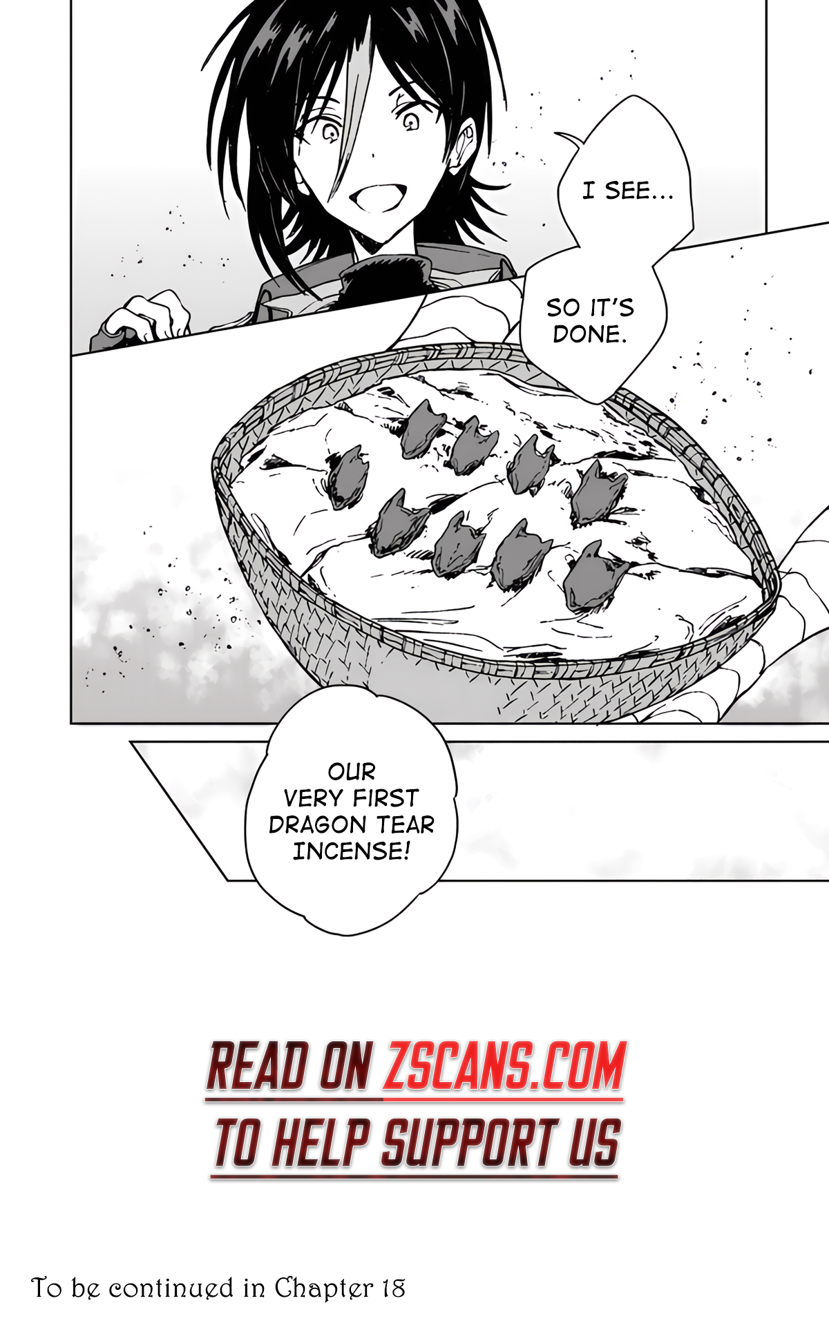 Page 27 of Chapter 17