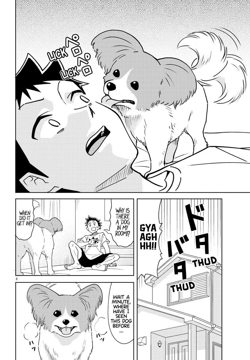 Page 2 of Chapter 325