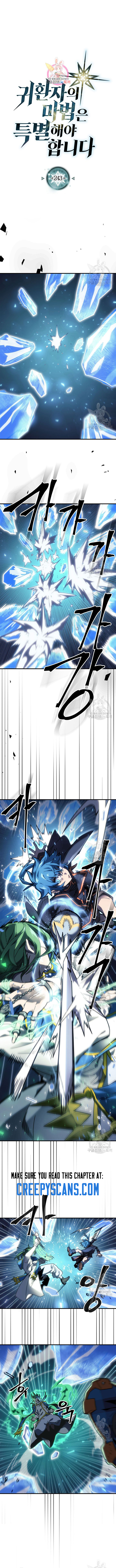 Page 1 of Chapter 243